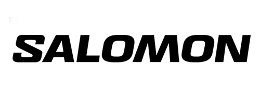 salomon ski